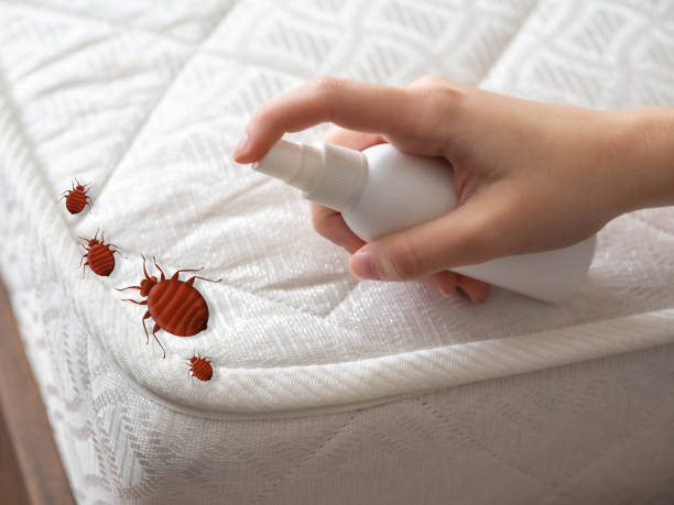 Best Pest Inspection Near Me  in Lake Mohegan, NY