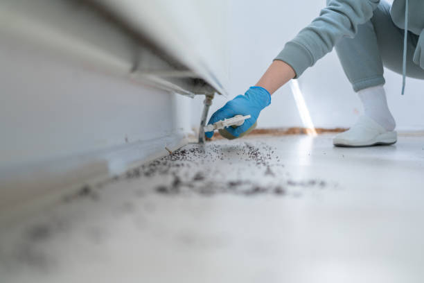 Best Best Pest Control Companies  in Lake Mohegan, NY